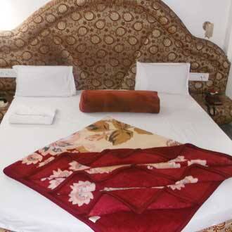Hotel Agrawal, Pachmarhi 3